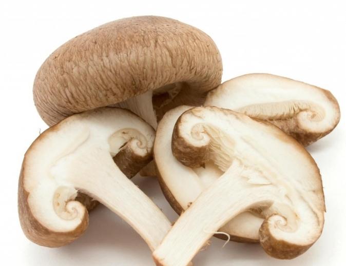 Como distinguir os cogumelos comestíveis de não comestíveis? Dicas para o homem na rua