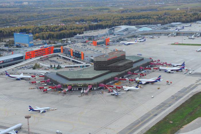 Estudo do plano do aeroporto de Sheremetyevo - assistência para passageiros